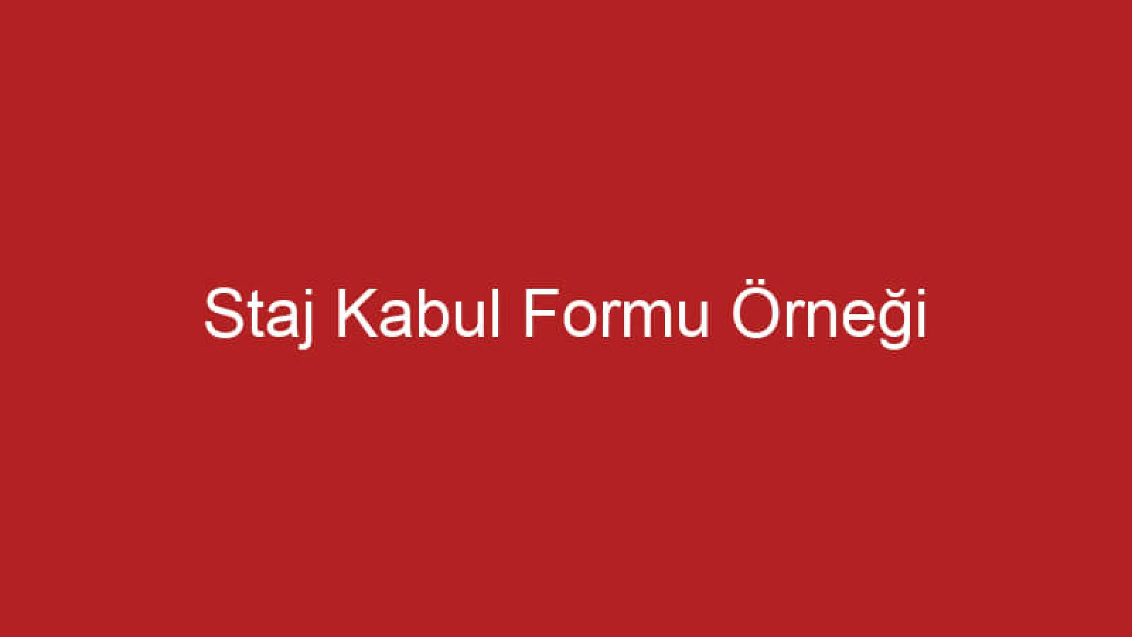 Staj Kabul Formu Örneği